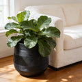 Round Fiberglass Planter With Stripe textures Home & Garden Decor Pot- Black and Paige