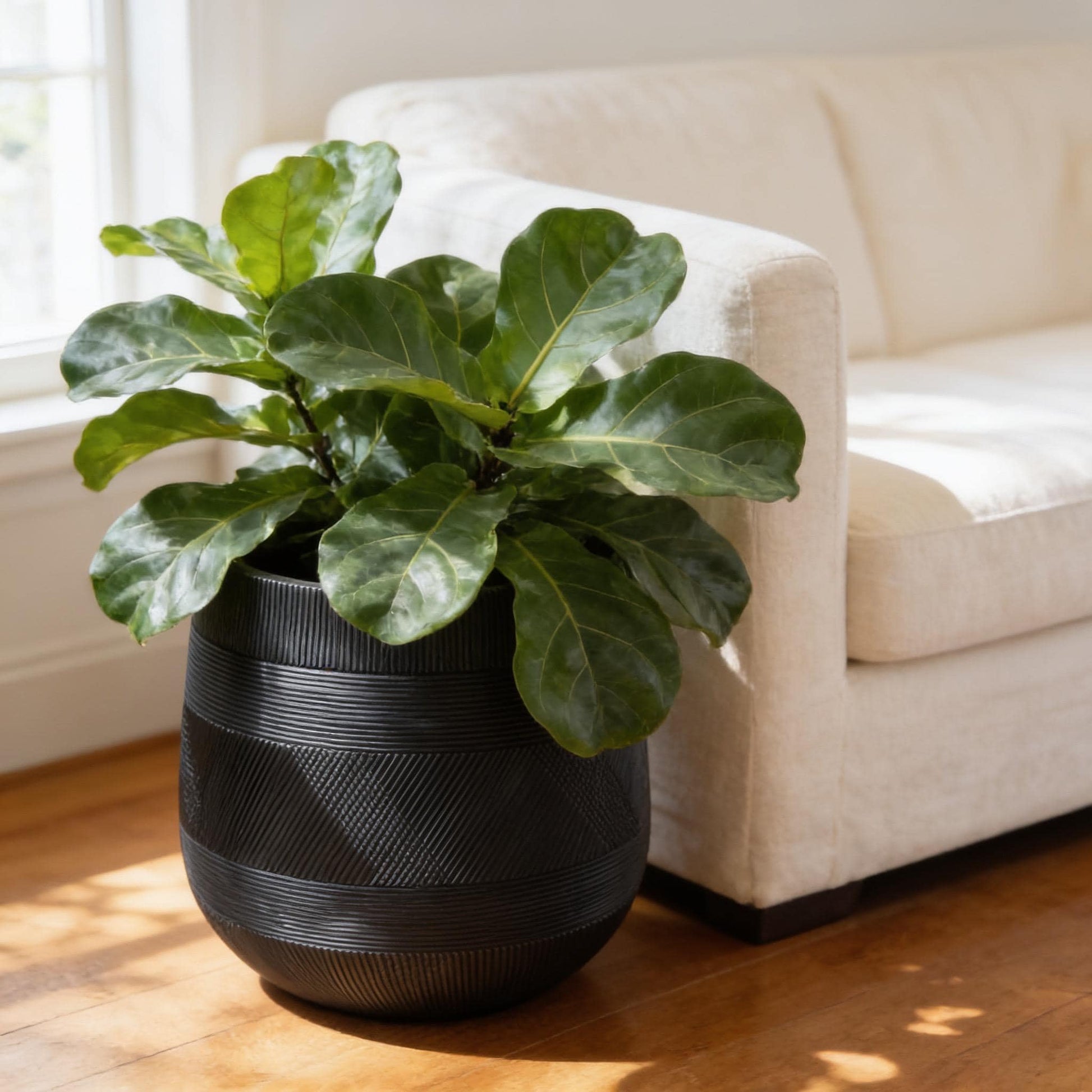 Round Fiberglass Planter With Stripe textures Home & Garden Decor Pot- Black and Paige