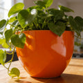 Glossy Orange Fiberglass Planter: Modern Round Home Garden Pot, 17-24 Inches