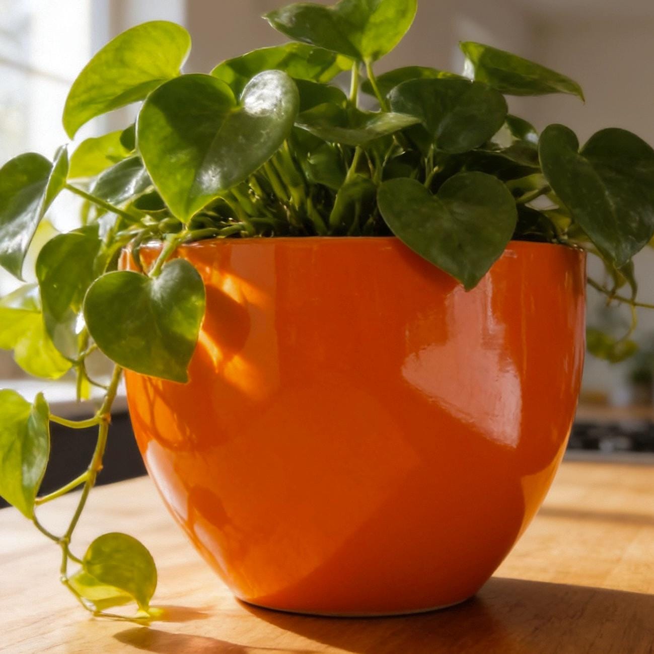 Glossy Orange Fiberglass Planter: Modern Round Home Garden Pot, 17-24 Inches