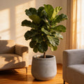 Round Fiberglass Planter With Stripe textures Home & Garden Decor Pot- Black and Paige