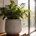 Round Fiberglass Planter With Stripe textures Home & Garden Decor Pot- Black and Paige