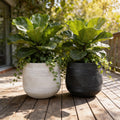 Round Fiberglass Planter With Stripe textures Home & Garden Decor Pot- Black and Paige
