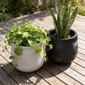 Round Fiberglass Planter With Stripe textures Home & Garden Decor Pot- Black and Paige