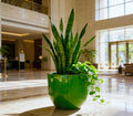 Glossy Green Fiberglass Planter: Modern Round Home Garden Pot, 17-24 Inches