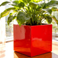 Glossy Red Fiberglass Planter: Contemporary Garden & Home Decor (18-23 Inches)