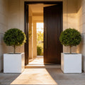 Matte white Fiberglass Planter: Contemporary Garden & Home Decor (18-23 Inches)