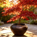 Large Round Fiberglass Planter: 23-43 Inch Round Garden Pot In Dark Copper