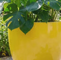 Glossy Yellow Fiberglass Planter: Modern Round Home  Garden Pot, 14-27 Inch