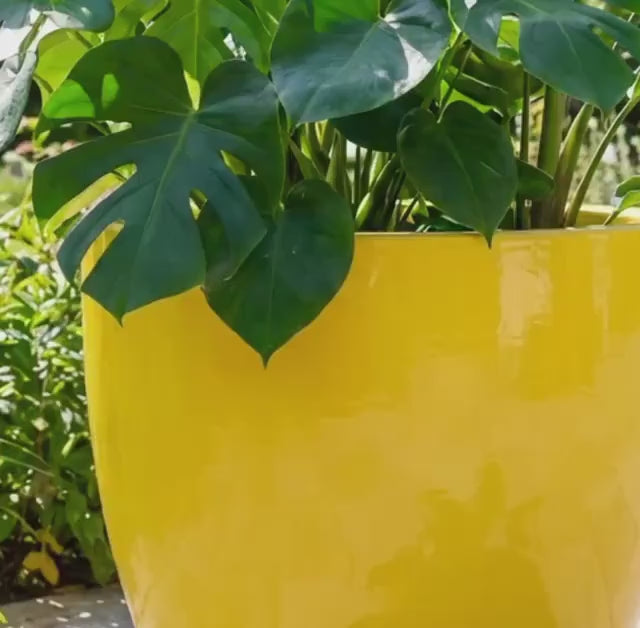 Glossy Yellow Fiberglass Planter: Modern Round Home  Garden Pot, 14-27 Inch