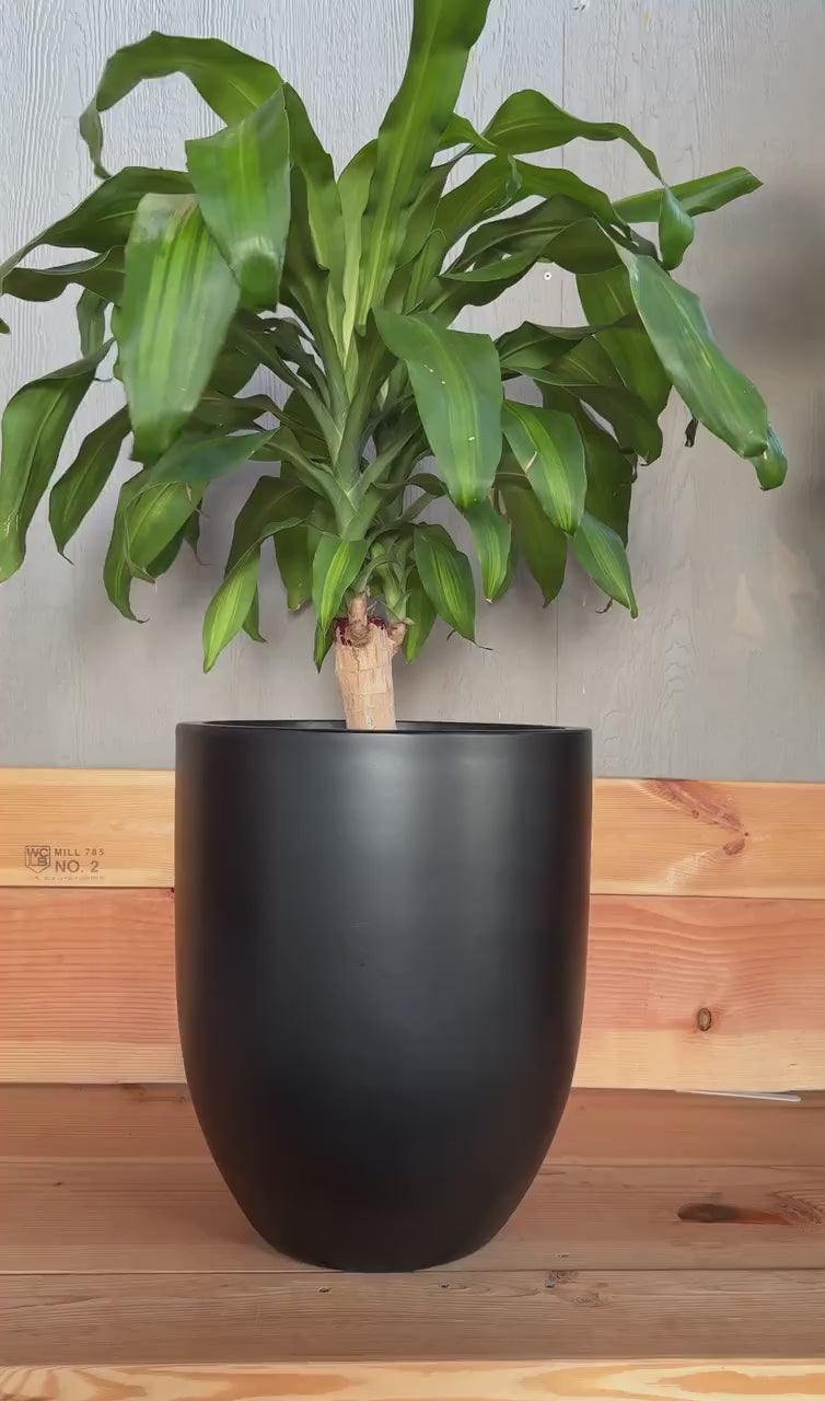 Matte Black Fiberglass Planter: Modern Round Garden Pot
