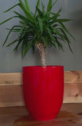 Glossy Red Fiberglass Planter: Contemporary Garden & Home Decor (18-27 Inches Tall)