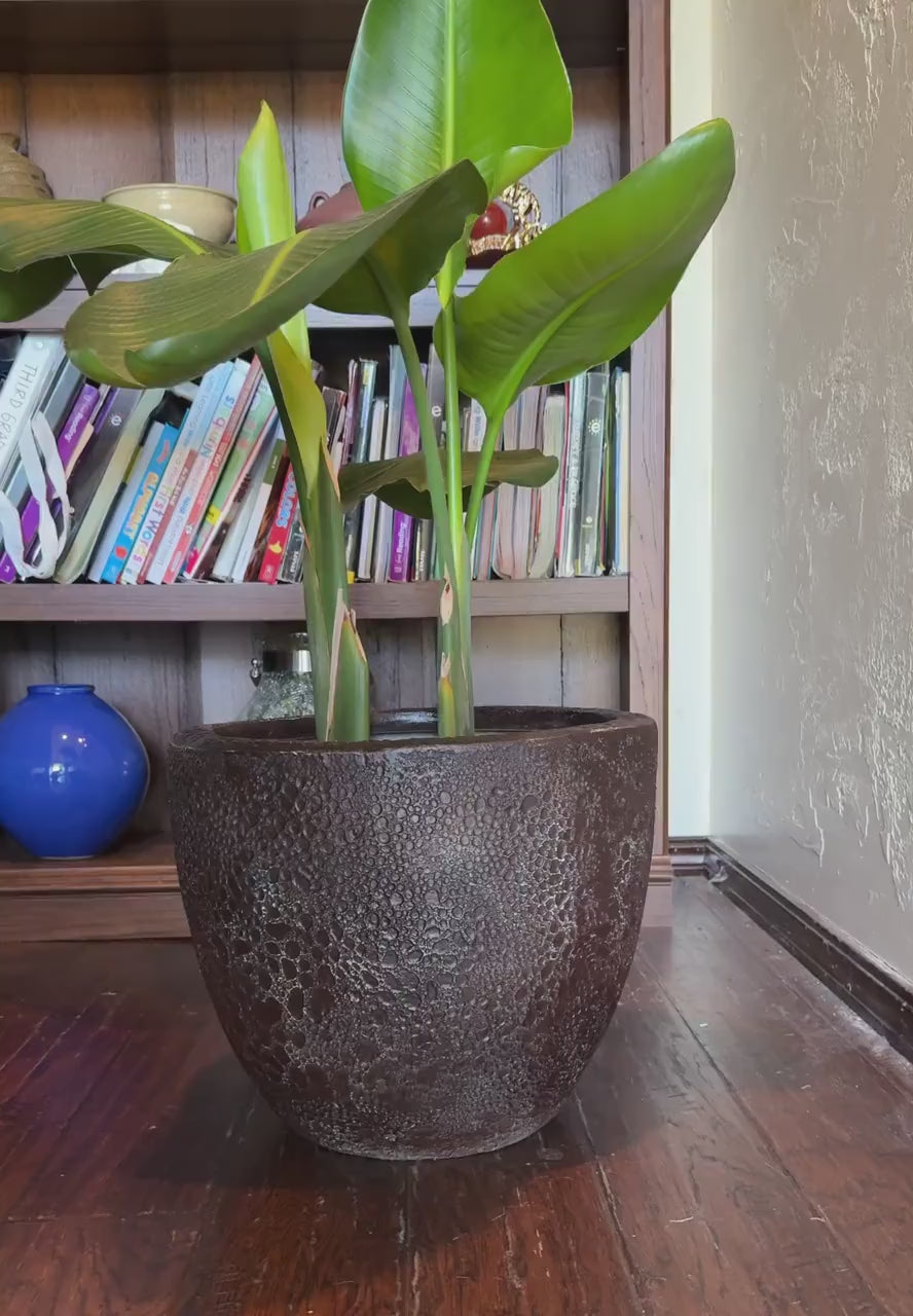 Handmade Fiberglass Planter: Moon Surface Design, Indoor Outdoor (10-18 Inches)